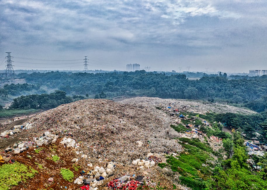 A large open area featuring a substantial landfill or dump site with numerous piles of mixed construction debris, plastic waste, and organic matter. In the foreground, there are scattered cardboard boxes, plastic bags, and pieces of wood and fabric materials. The site is bordered by patches of green vegetation, while a paved pathway or road runs alongside it, with some equipment or waste collection containers visible. Beyond the landfill, there is a backdrop of dense trees and distant buildings, with a cloudy sky overhead. This setting appears to be an outdoor environment unrelated to house removals or moving services, highlighting waste disposal or environmental management activities.